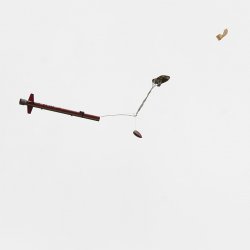 2013 Suche 29062013 Michal